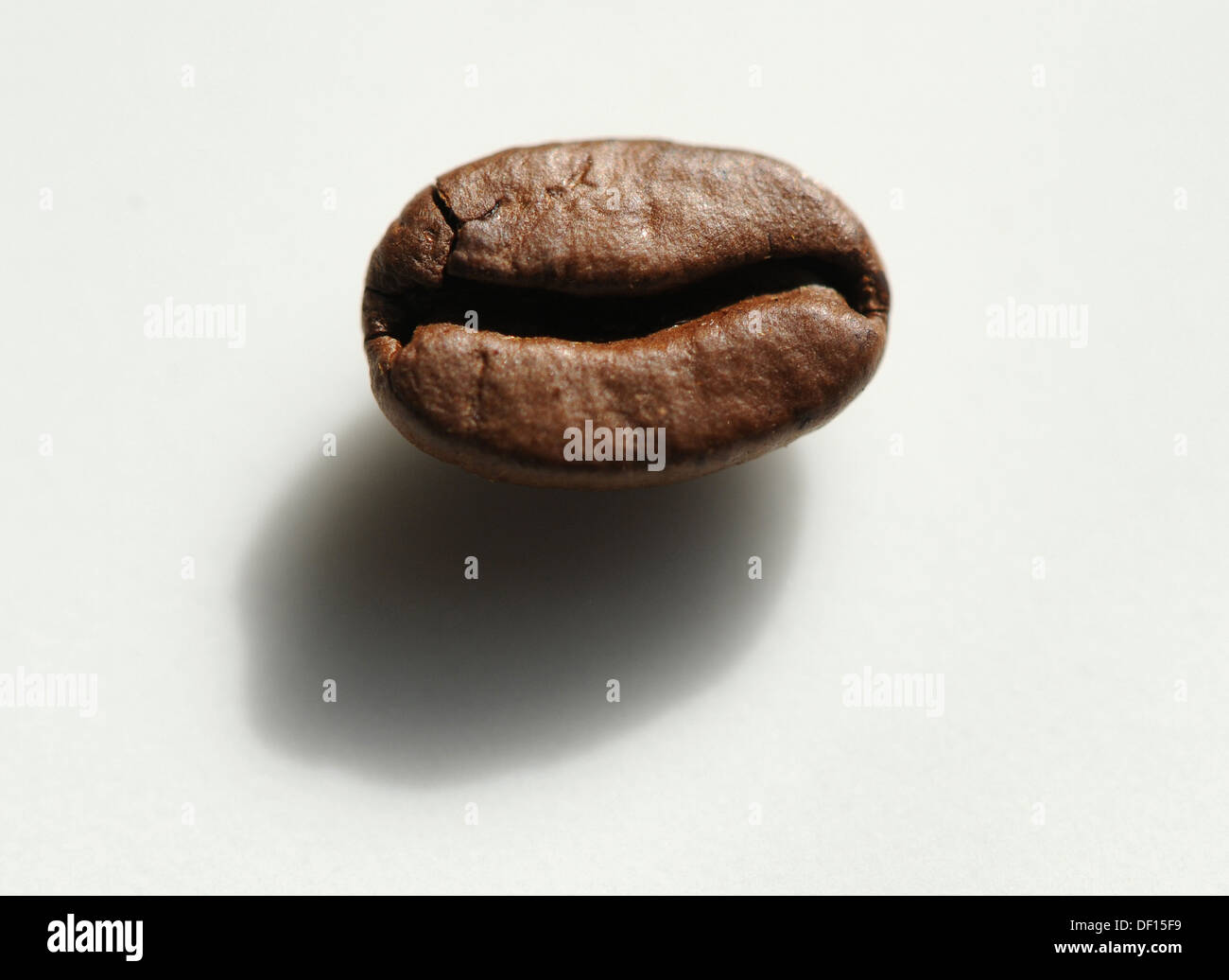 Berlin, Germany, whether roasted coffee bean Stock Photo Alamy