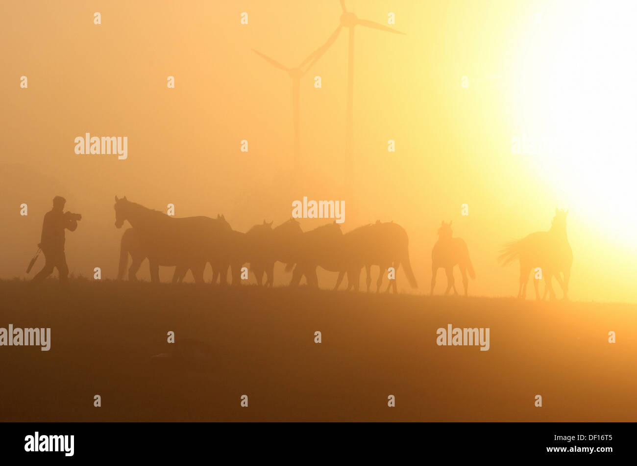 Görlsdorf, Germany, silhouettes of people and horses at sunrise Stock Photo