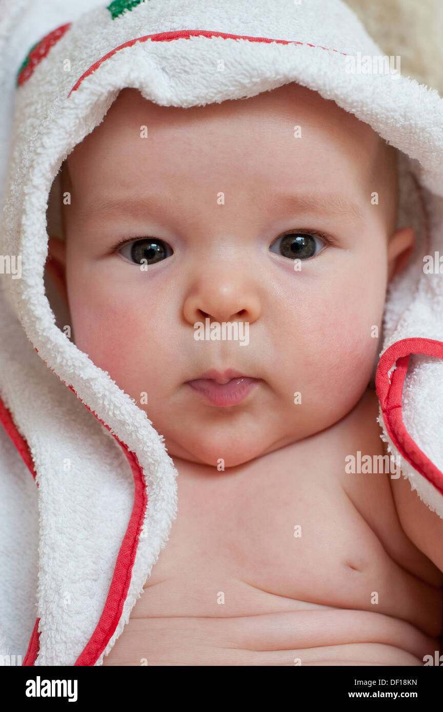 Berlin, Germany, a five month old baby wrapped in a blanket Stock Photo