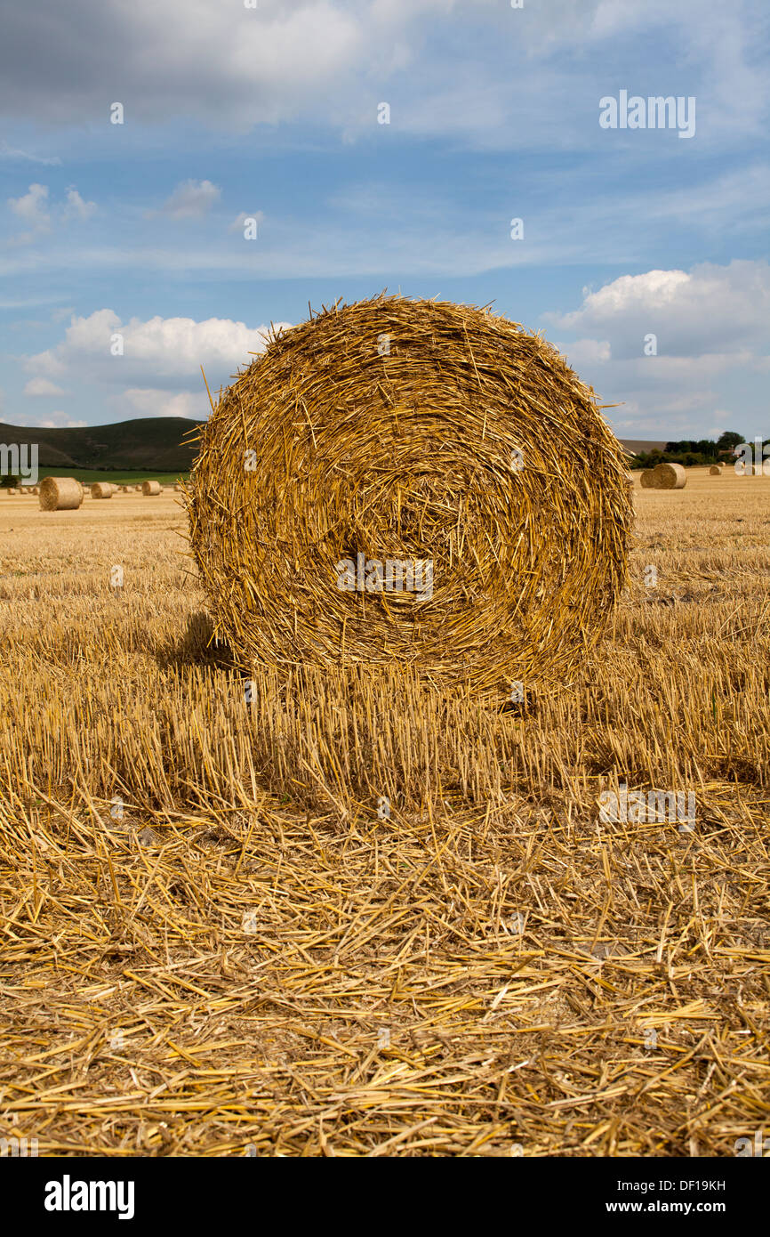 Round Bale of Hay in Field in Wiltshire England Stock Photo - Alamy