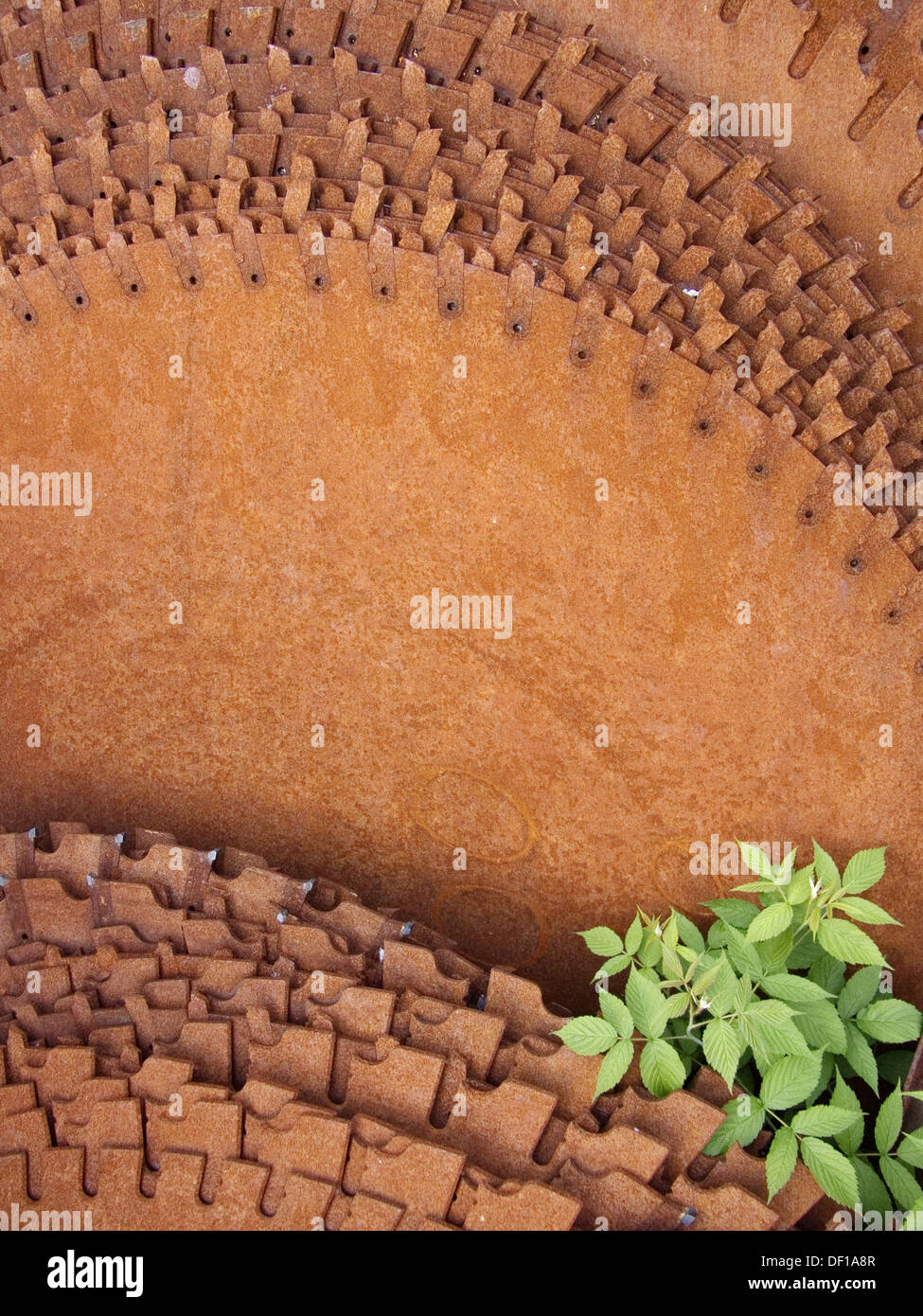 Rusted old saw blade with plant growing out of the blade pile. Union