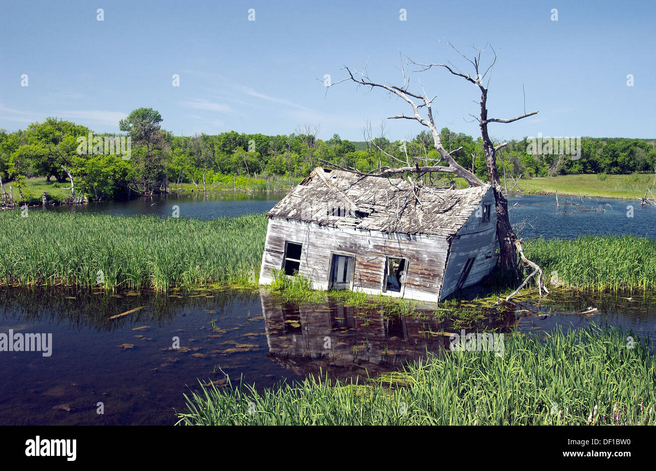 An abandoned flooded cottage near Kelwood, Manitoba