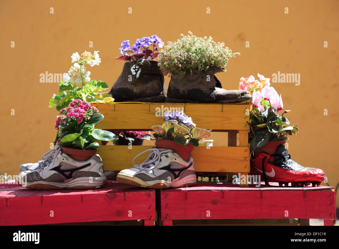 Madeira, floral arrangements, art object, planted shoes, flower decoration Stock Photo