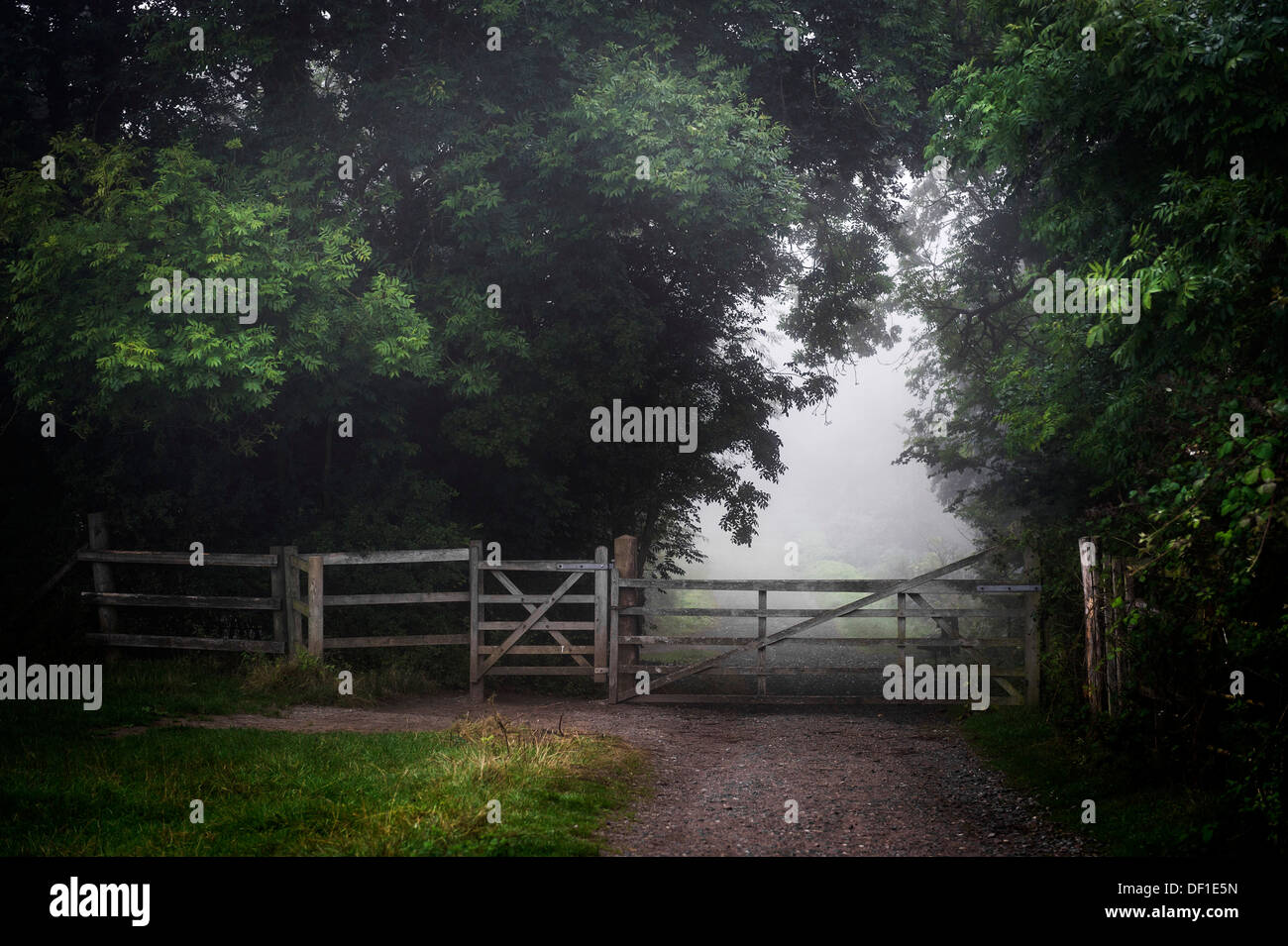 Woodland gate and fence hi-res stock photography and images - Alamy