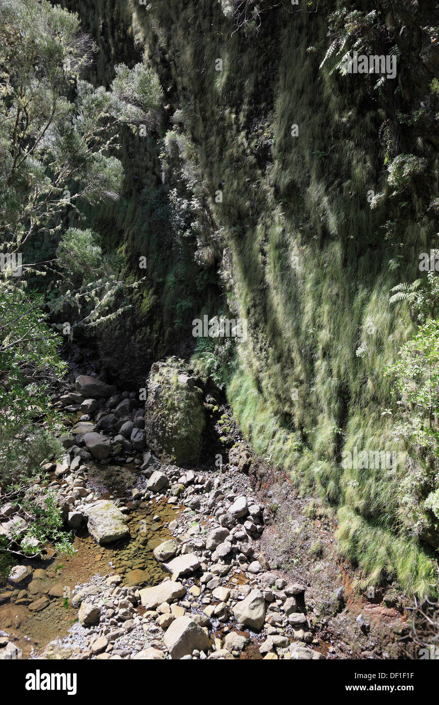 Madeira island, landscape, field trips Rabacal, the Levada do Risco to 25 Fontes, waterfalls, scenery along the Levada hiking tr Stock Photo