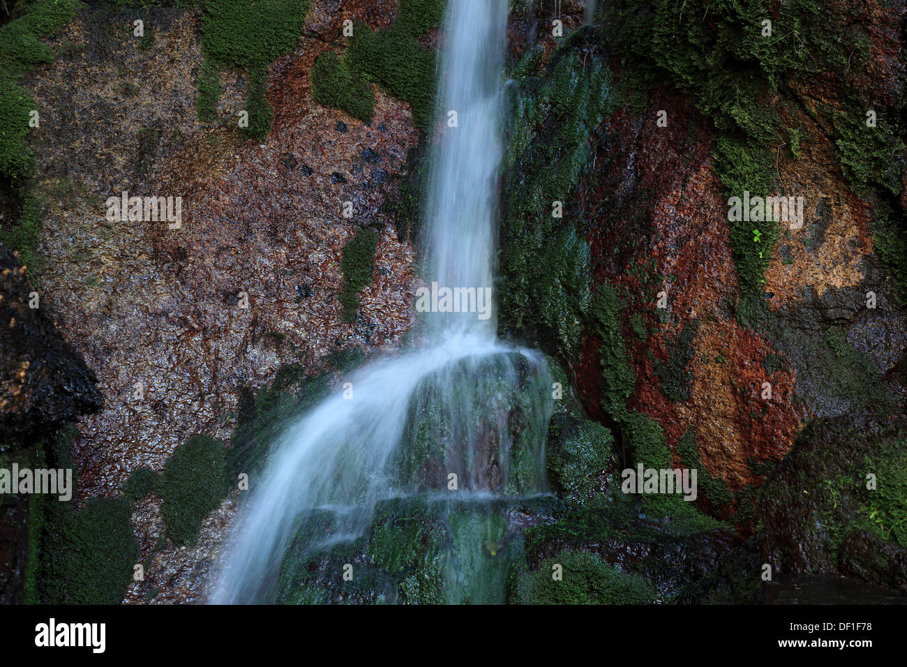Madeira island, landscape, field trips Rabacal, Waterfall Stock Photo