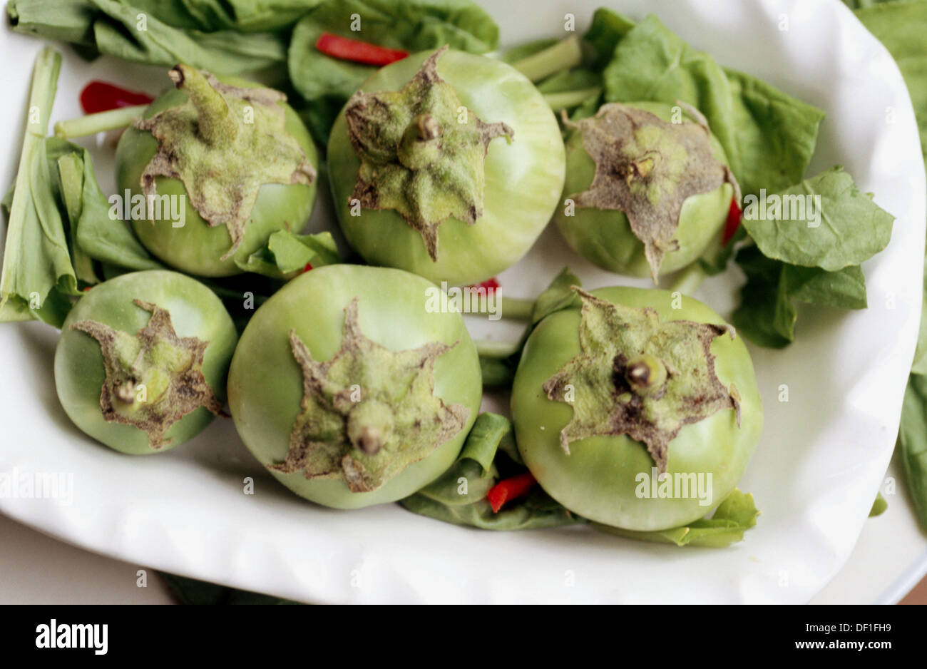 Nutrition, food Thai eggplant Stock Photo Alamy