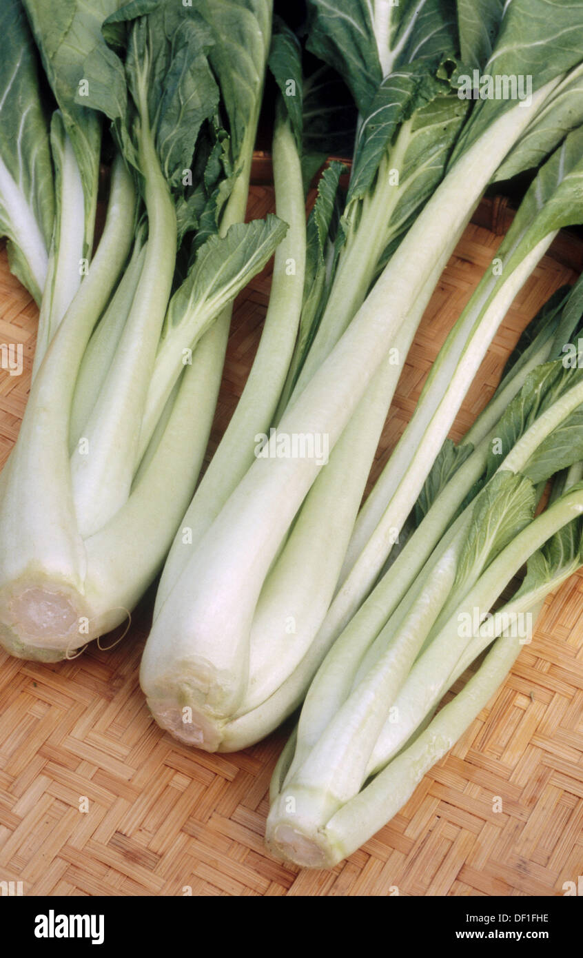 Choy sum, Chinese vegetables. Food, nutrition Stock Photo Alamy
