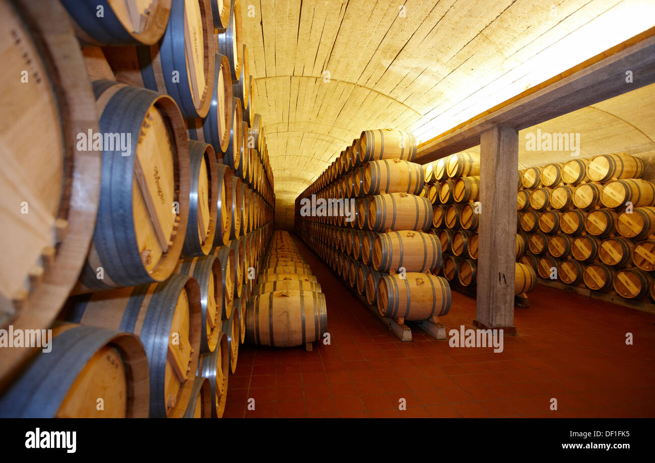 Wine cask aging, Muga winery, Haro, La Rioja, Spain Stock Photo Alamy