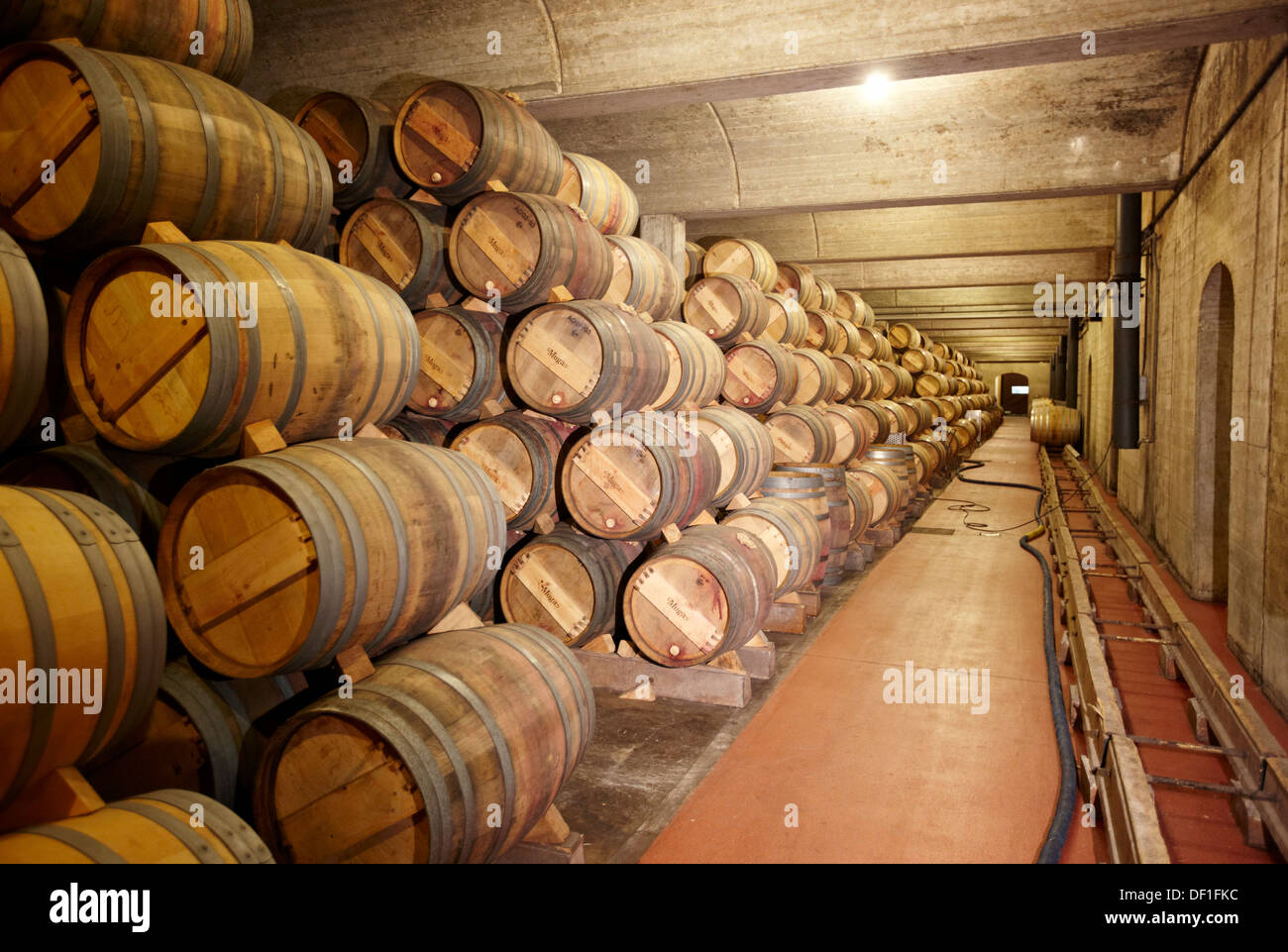 Wine cask aging, Muga winery, Haro, La Rioja, Spain Stock Photo Alamy