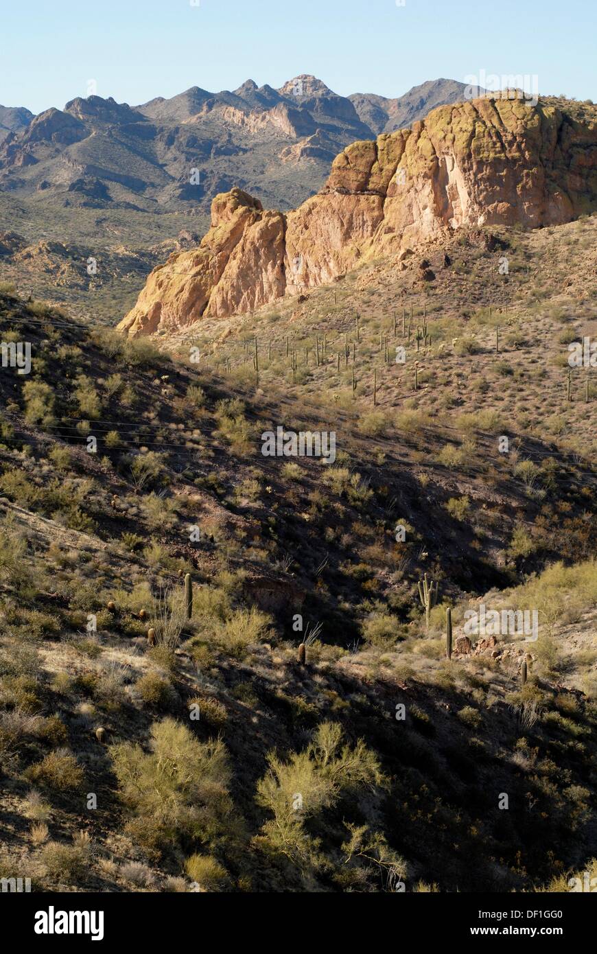 Tonto National Forest (N 33´ 30 509´ W 111´ 27 401´), Arizona, USA