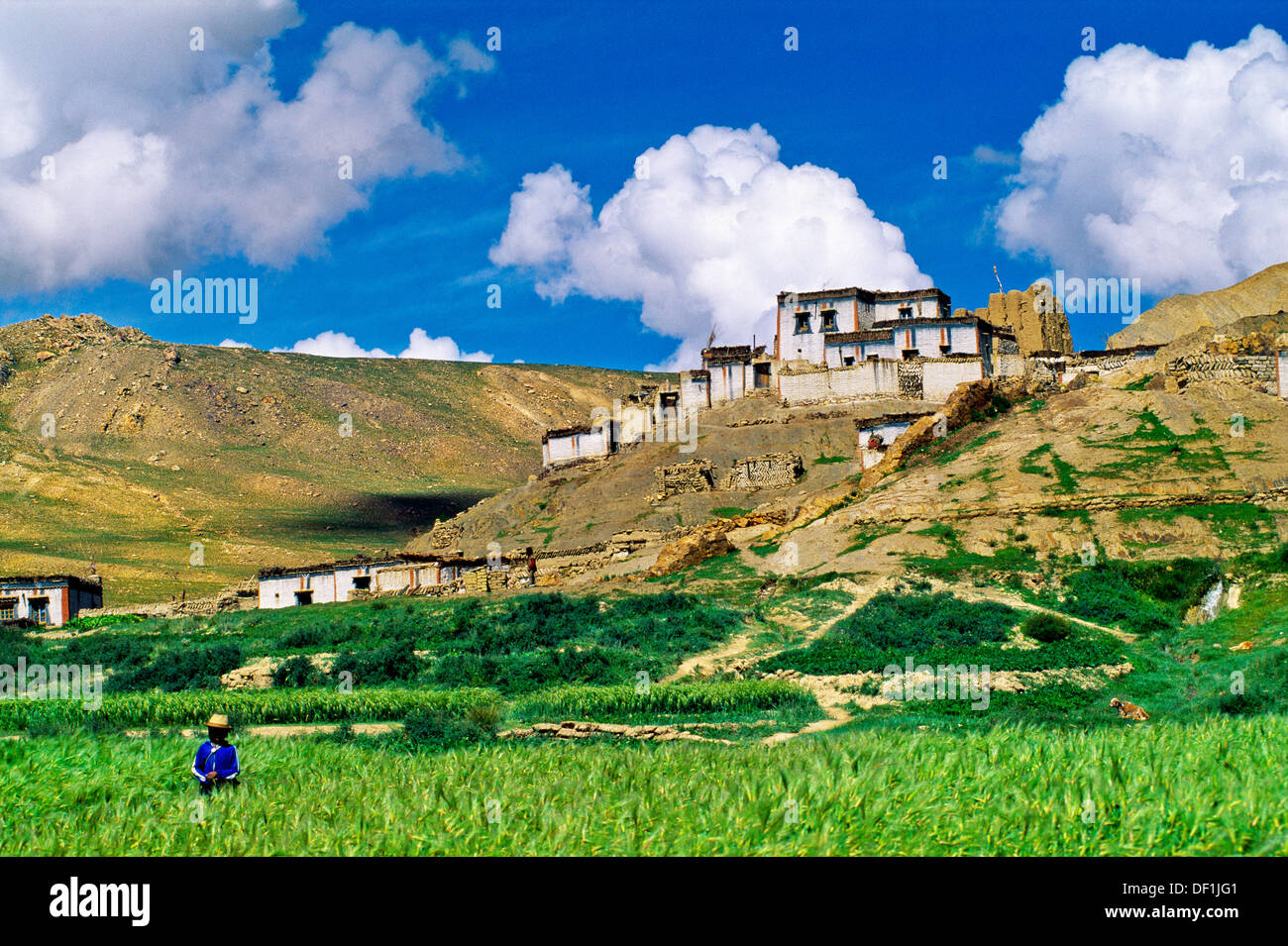 Villages of Tibetan Plateau Tibet China Stock Photo Alamy