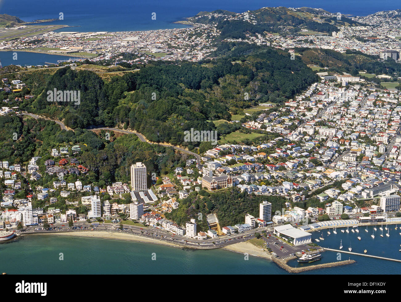 Oriental Bay and Mt Victoria Lyall Bay and airport in distance