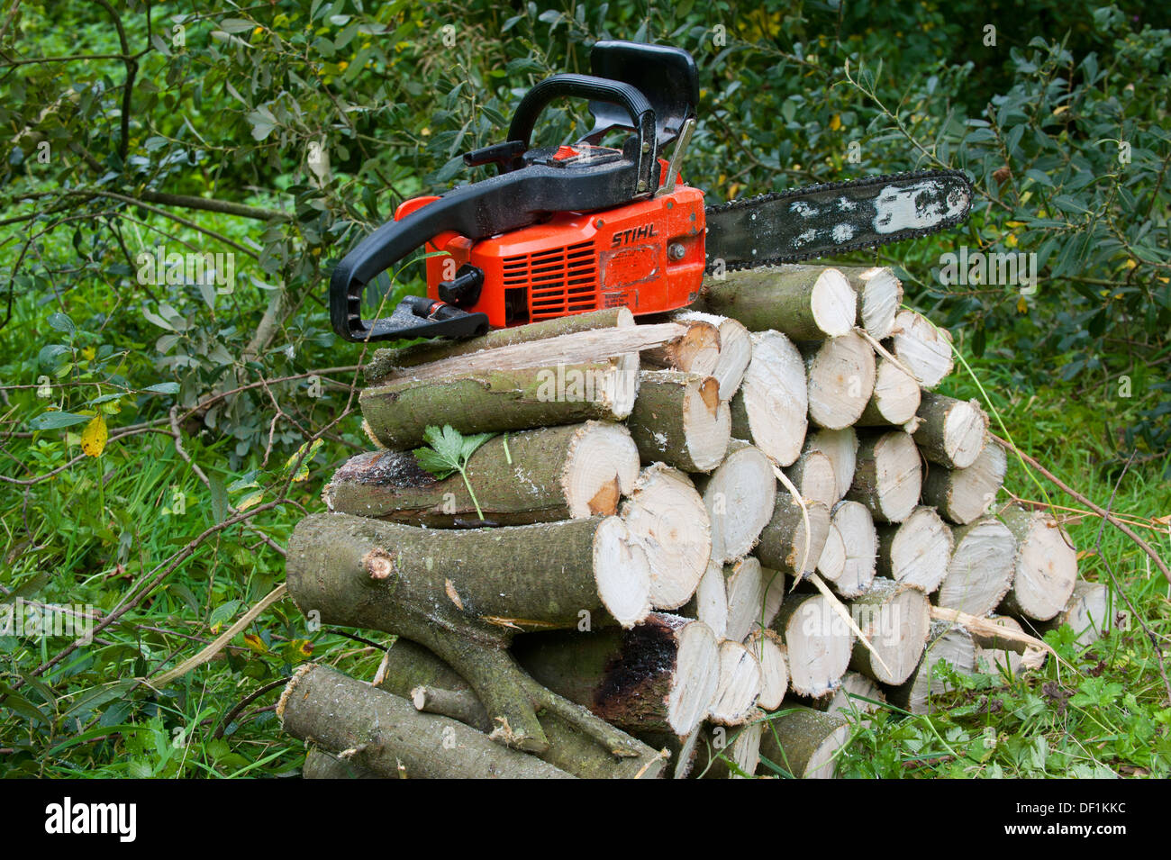 Stihl chainsaw hi-res stock photography and images - Page 3 - Alamy