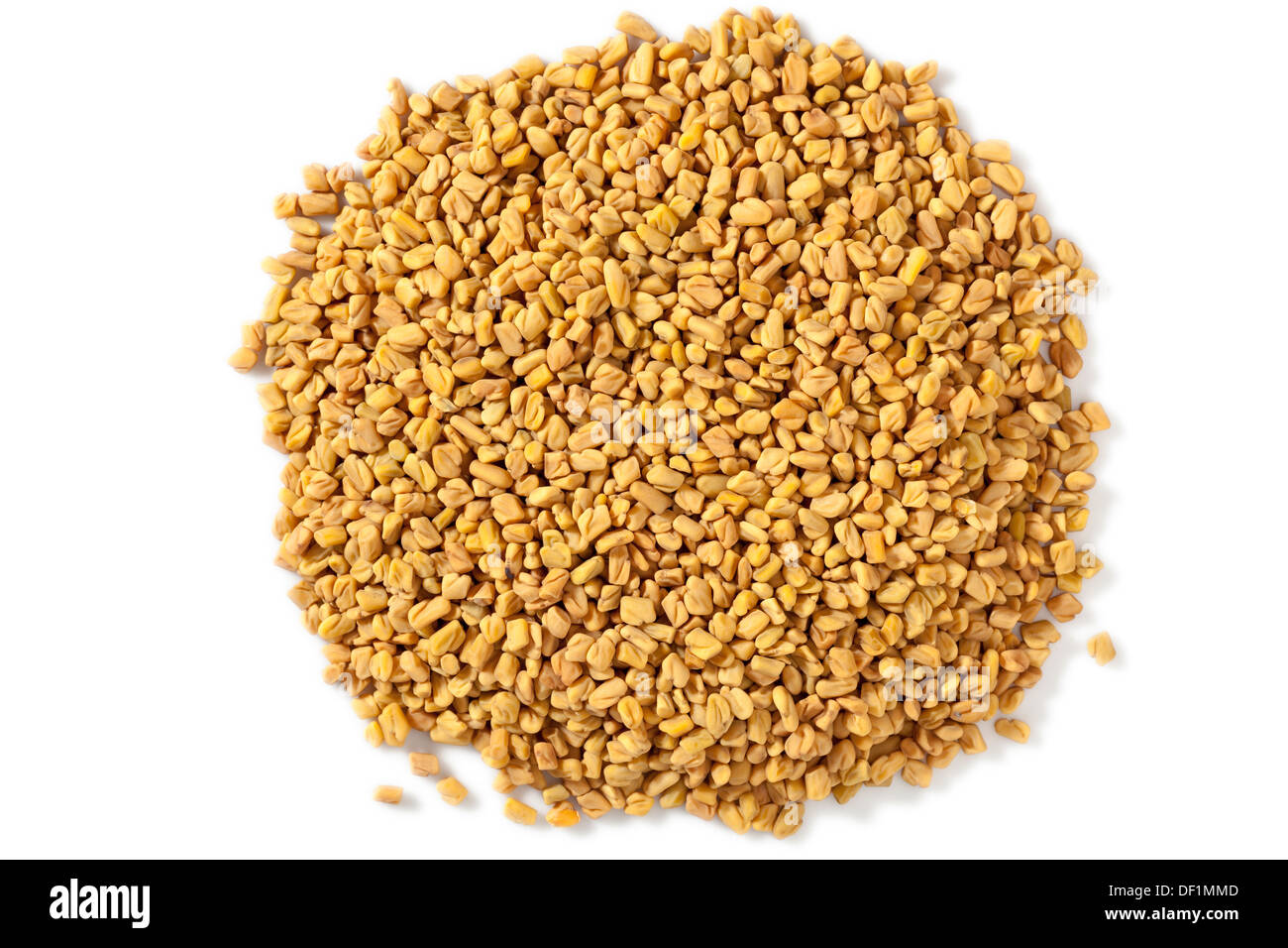 Fenugreek seeds Stock Photo