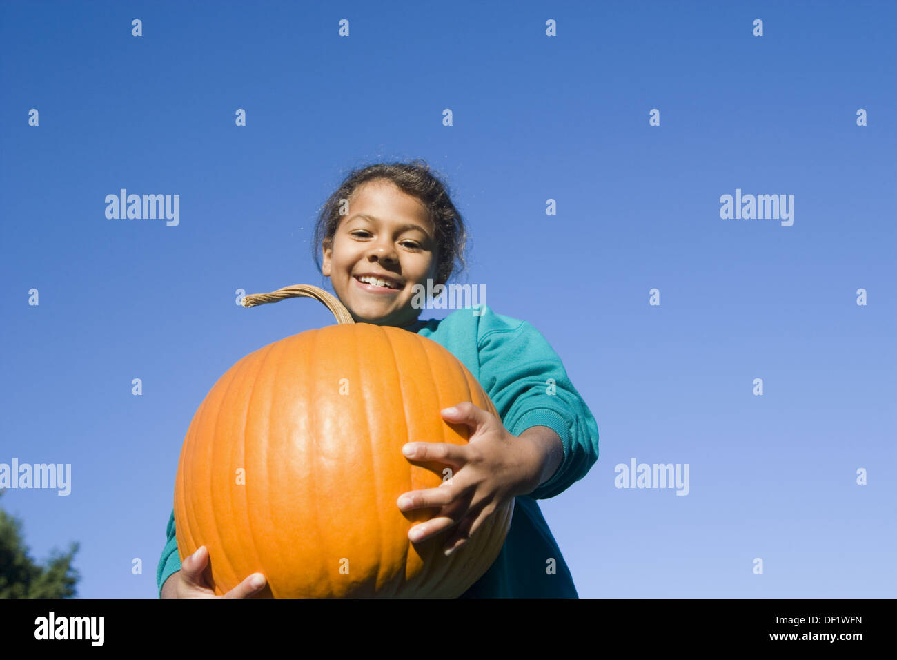 Young girl with big pumpkin Stock Photo - Alamy