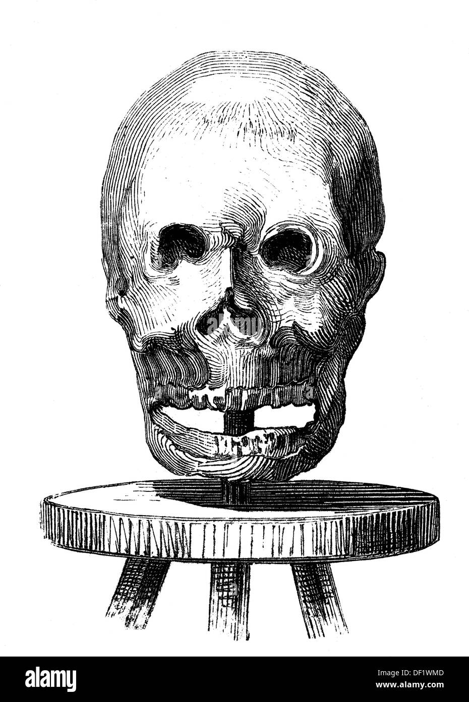 Instruments of torture: the dead skull, skull, woodcut from 1864 Stock Photo