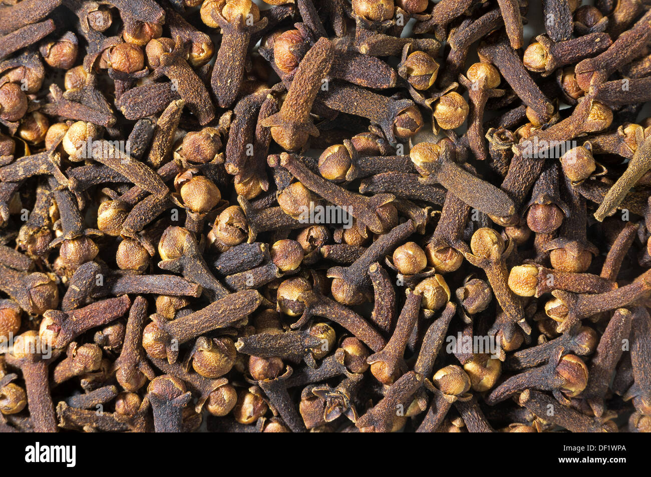 background of dried clove spice Stock Photo Alamy