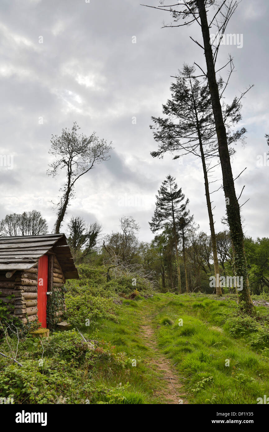 Cornwall countryside woods hi-res stock photography and images - Alamy