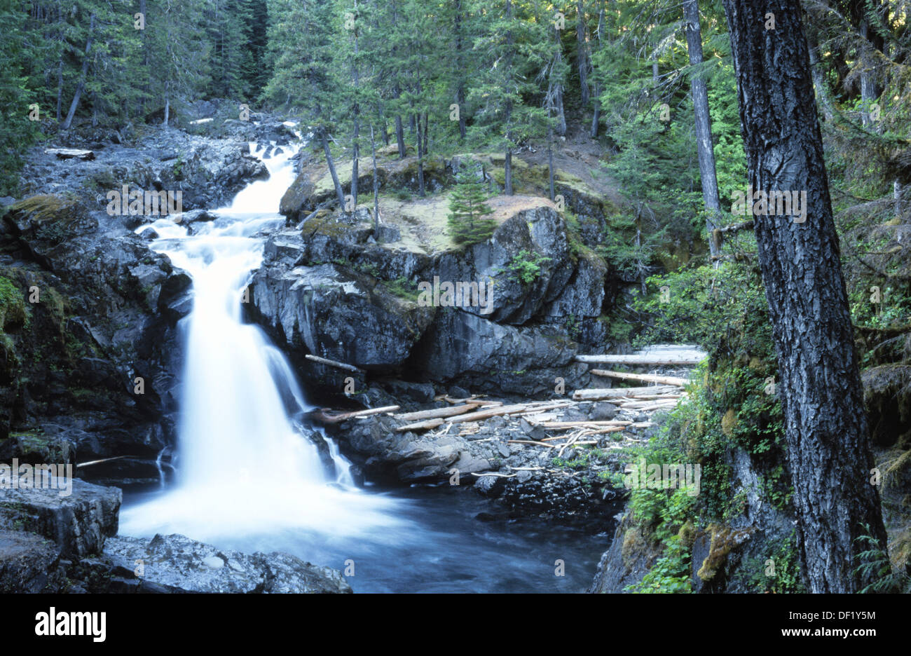 Silver Falls Mt Rainier National Park Washington State Usa Stock Photo Alamy