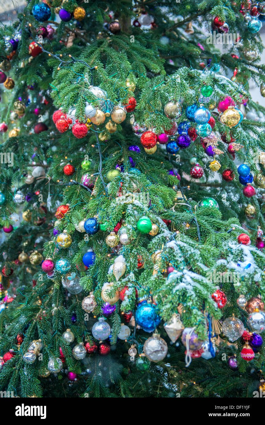 Snow on outdoor decorated Christmas tree, Bamberg, Germany Stock Photo