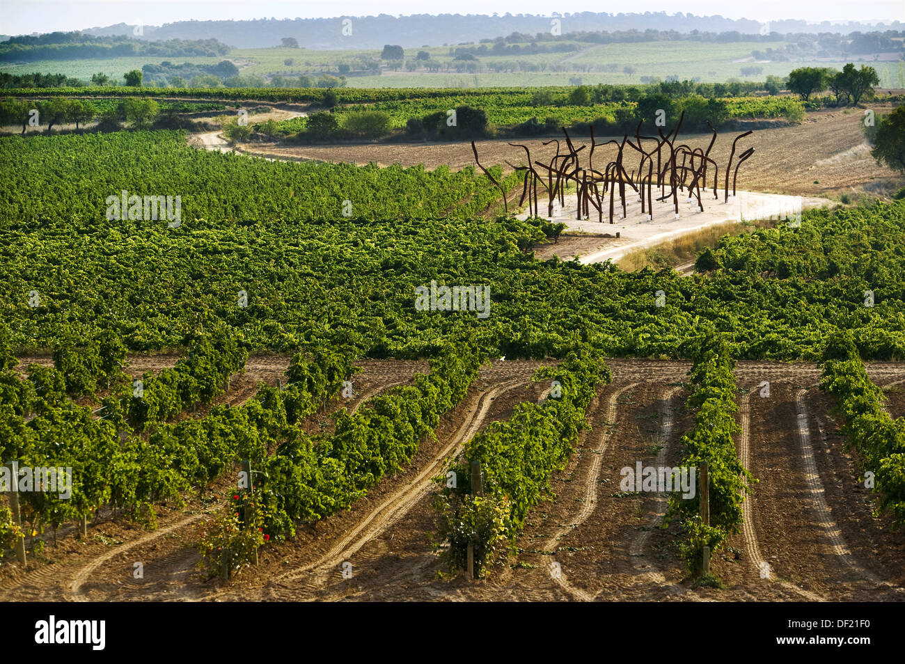 Vineyards abd sculpture by Vicente Garcia Plana, Enate winery in the