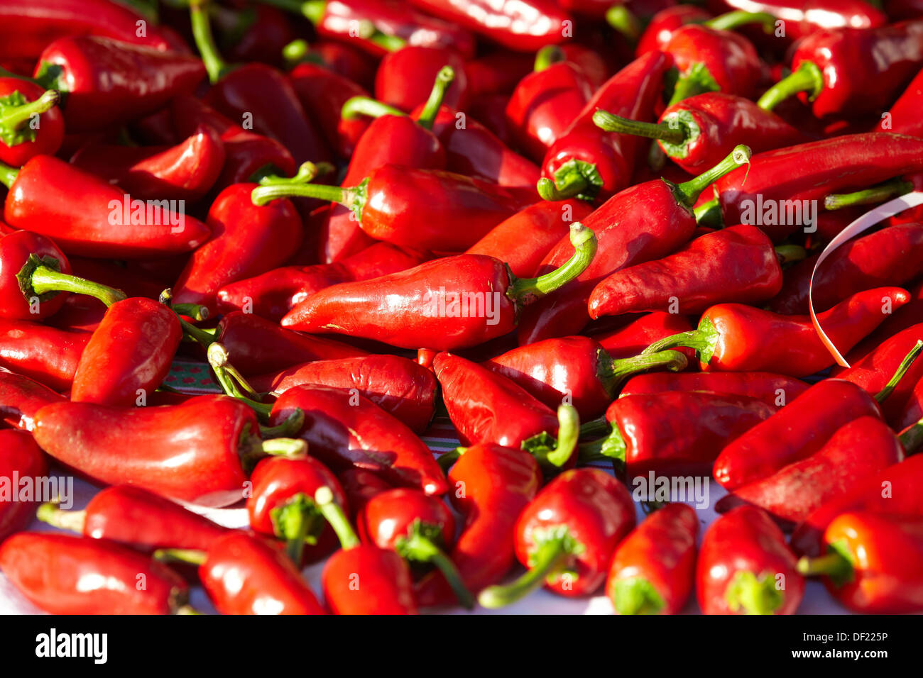 Espelette peppers people High Resolution Stock Photography and Images