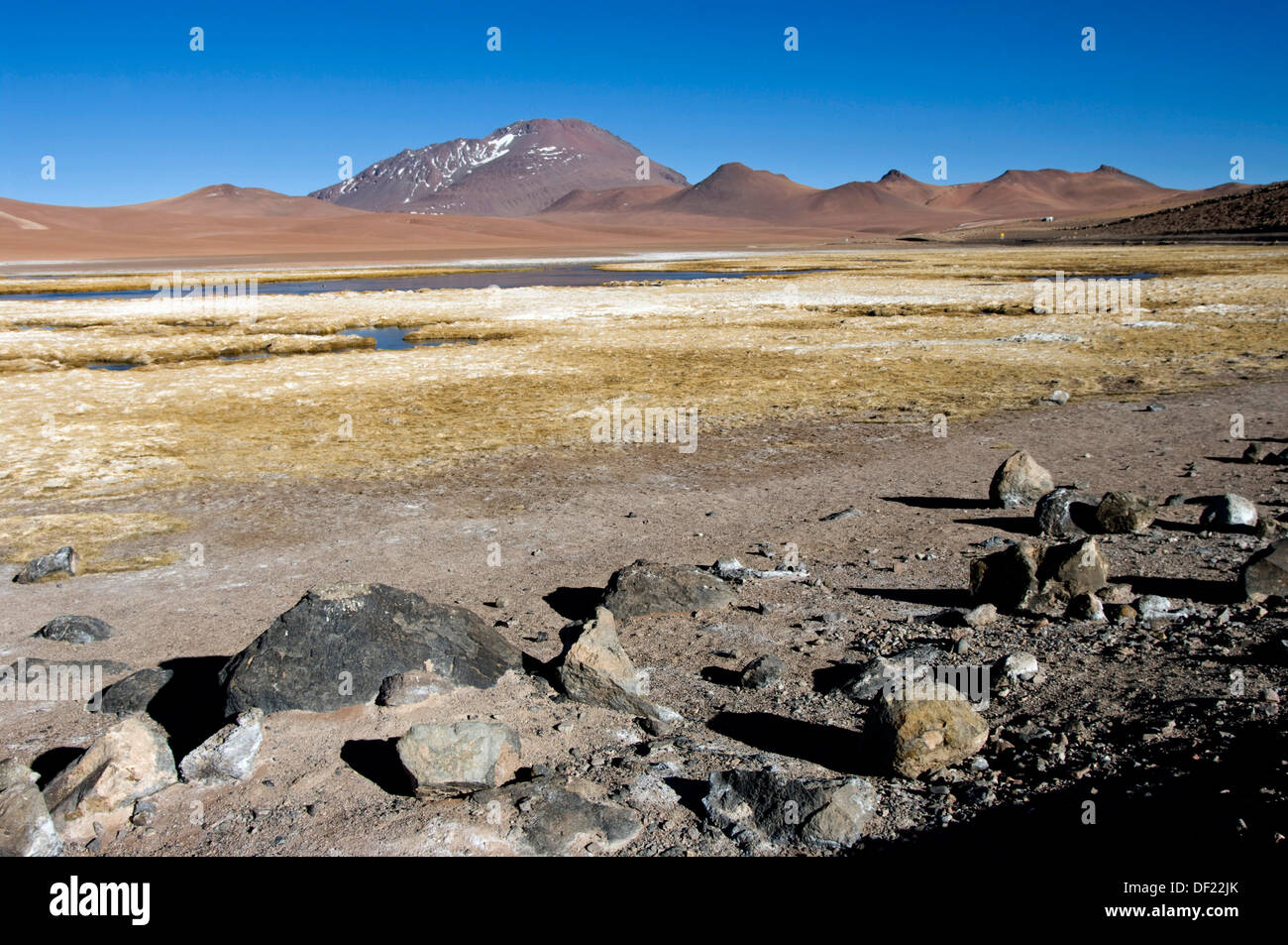 Chile. Atacama desert. Paso de Jama. Stock Photo