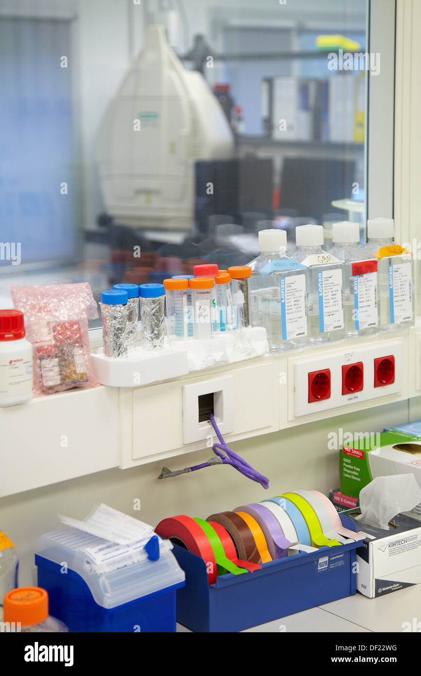 Cell culture room, cleanroom, Bioengineering and Microbiology