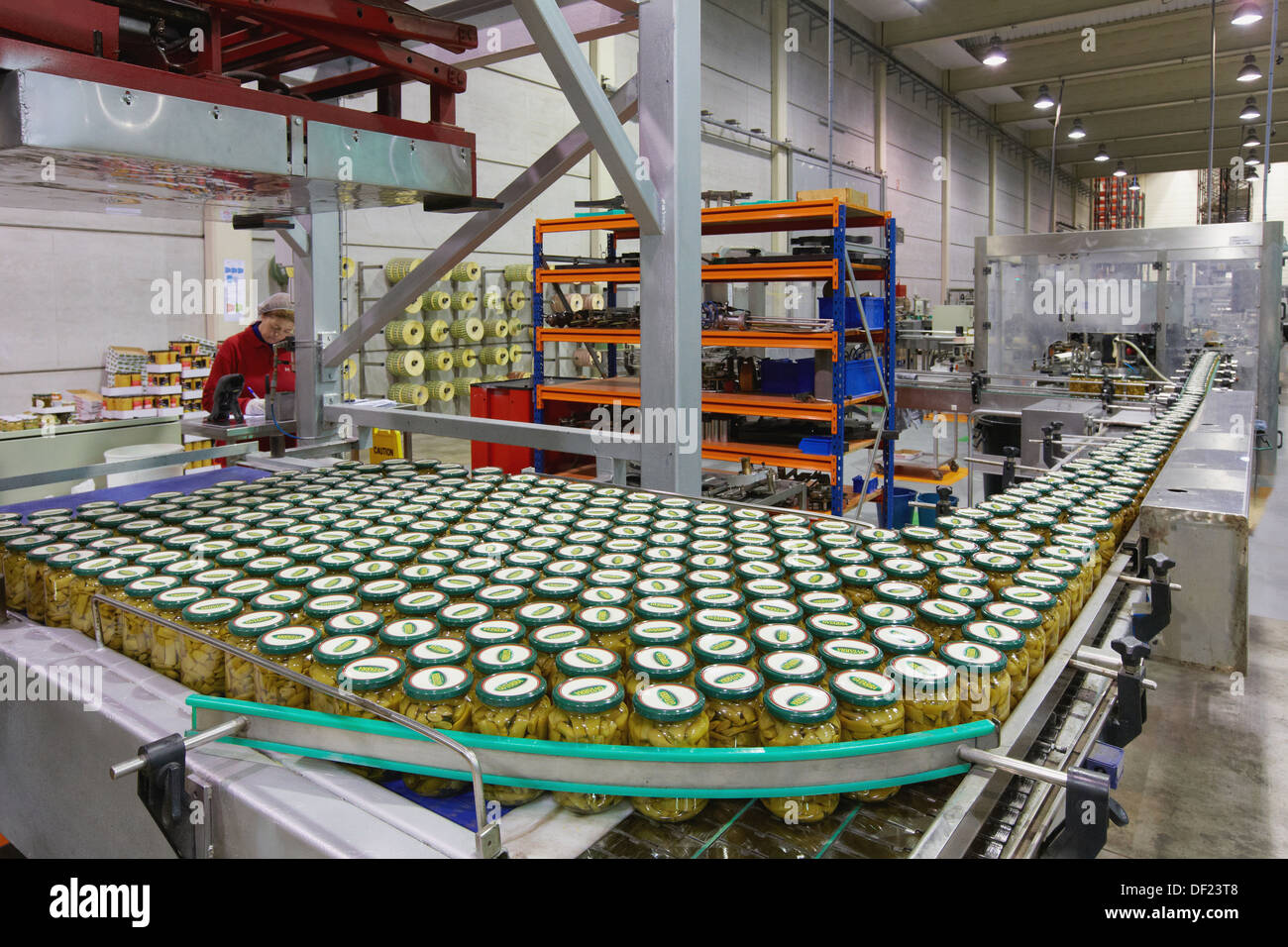 Labeling and packaging canned vegetables, Green bean, Canning Industry