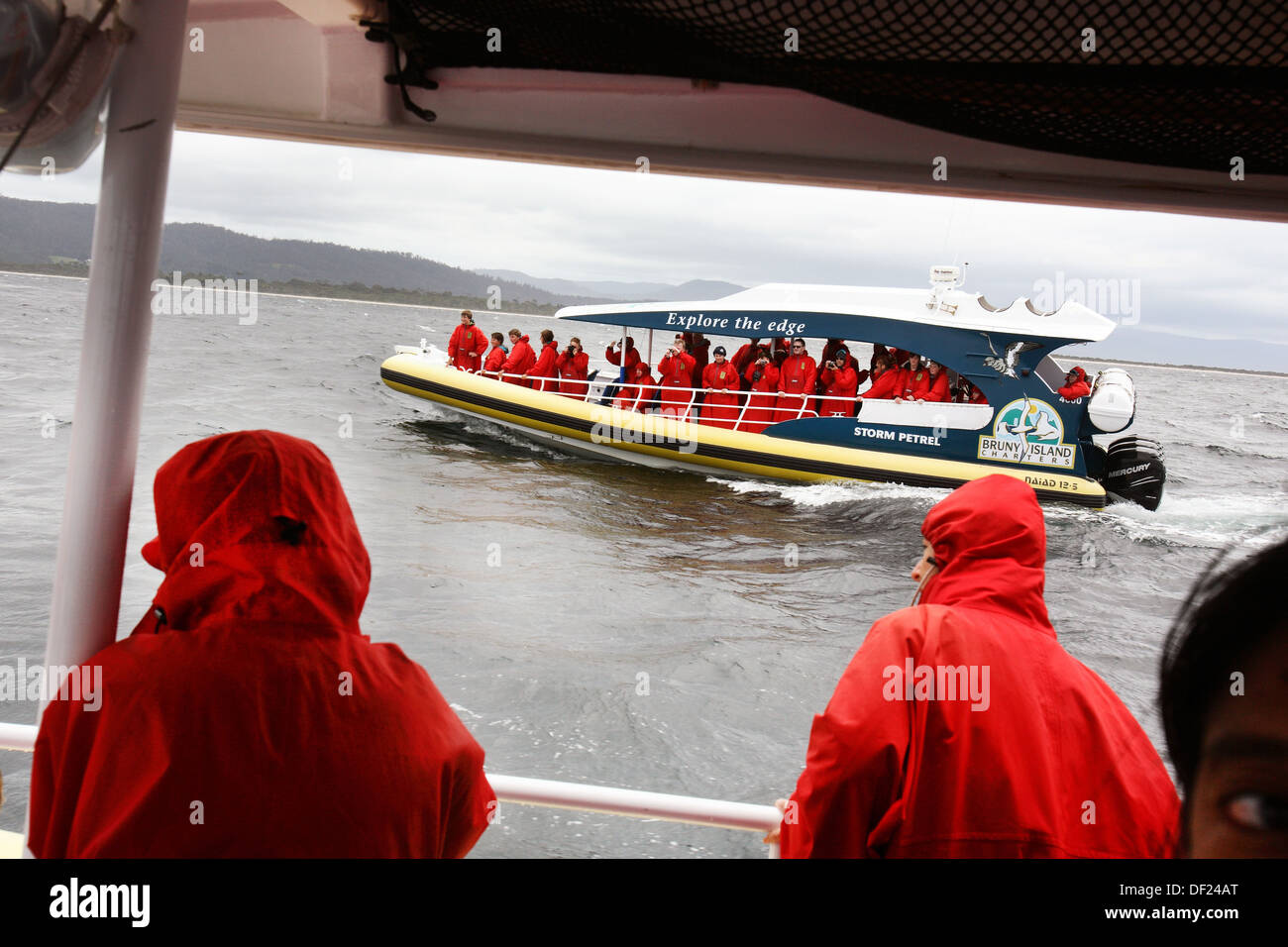 High speed boat cruise near Bruny Island with Pennicot Wilderness
