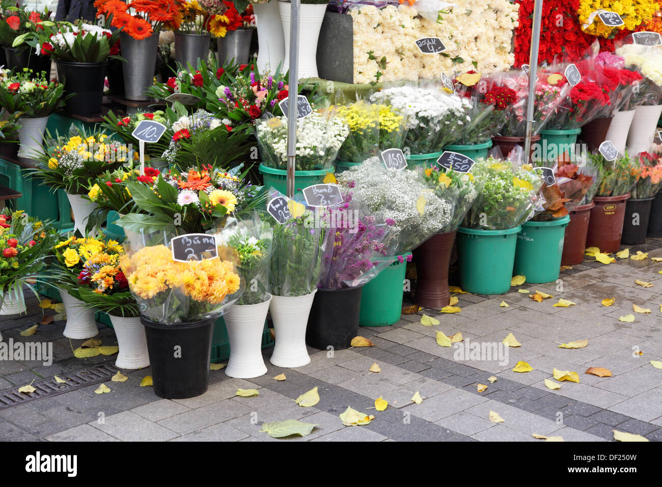 showcase flower shop on the street Stock Photo Alamy