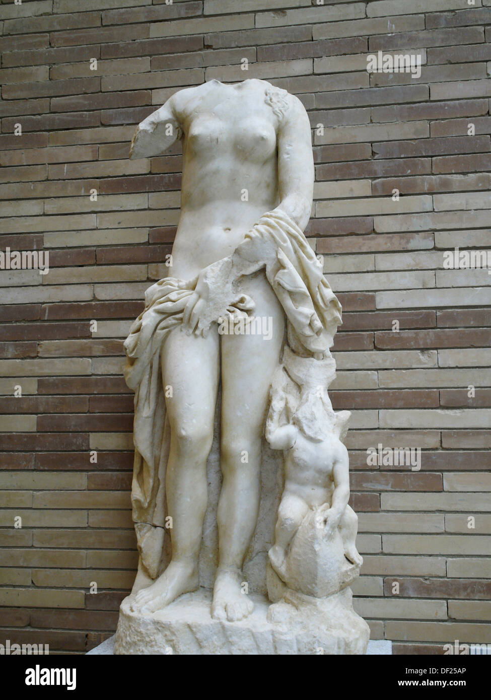 The Venus Callipigia (marble)