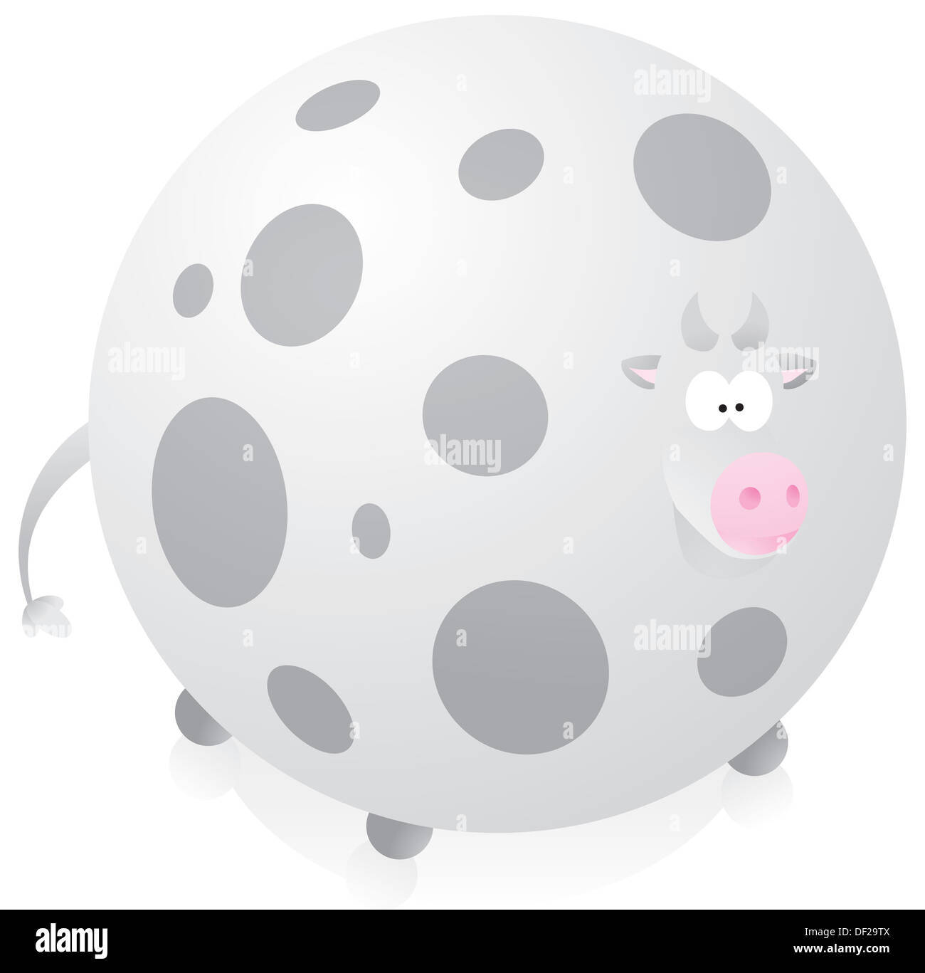 Big fat cow Stock Photo Alamy