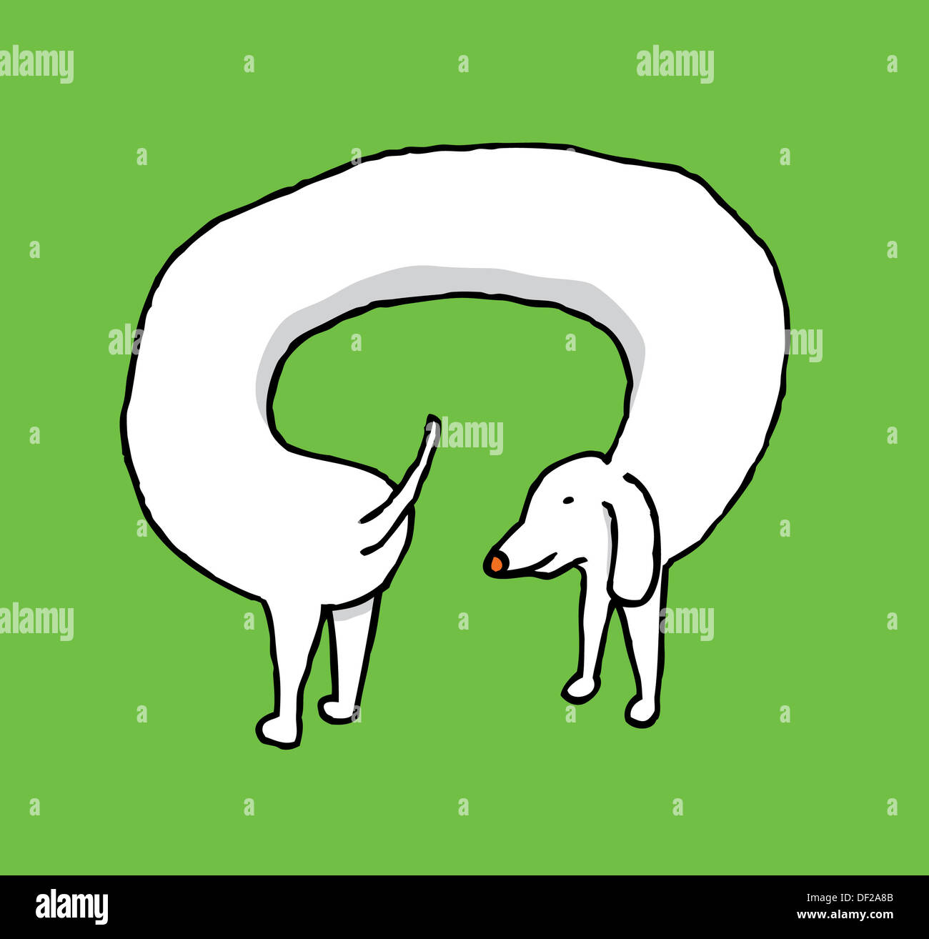 Dog chasing its own tail Stock Photo Alamy