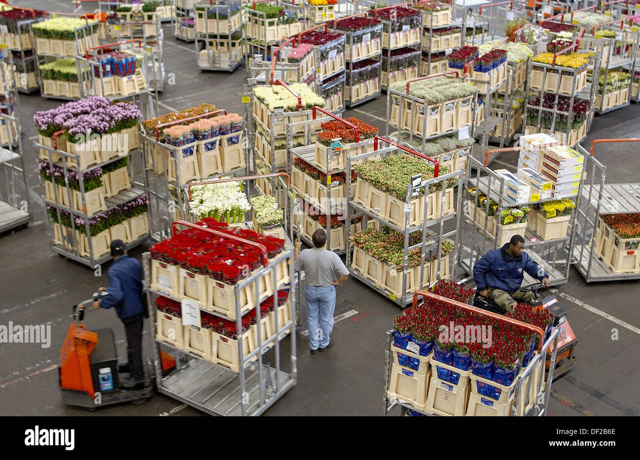 Distribution hall, Flower Auction (Bloemenveiling) Aalsmeer
