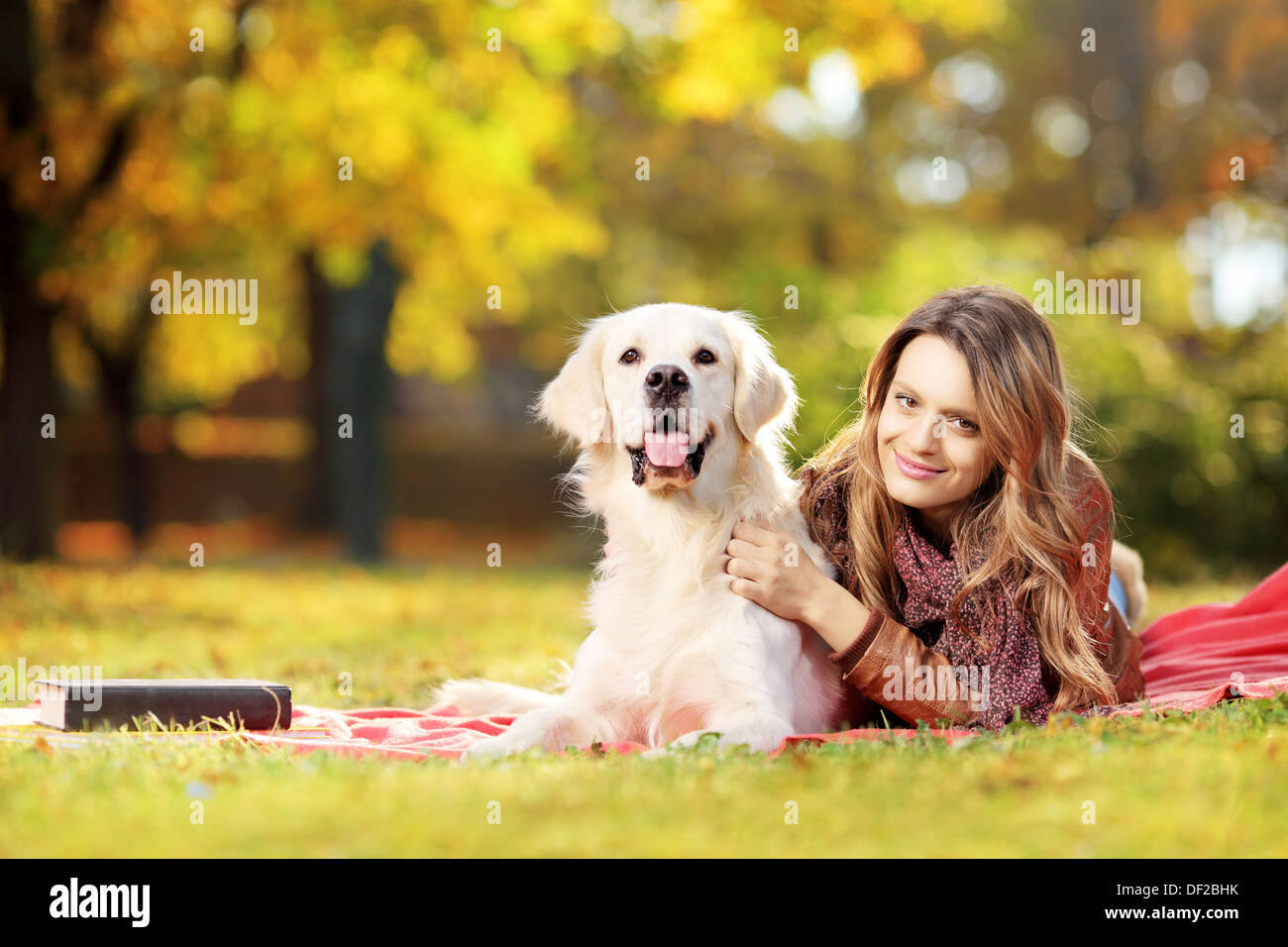 Beautiful female lying down with her dog in a park Stock Photo - Alamy