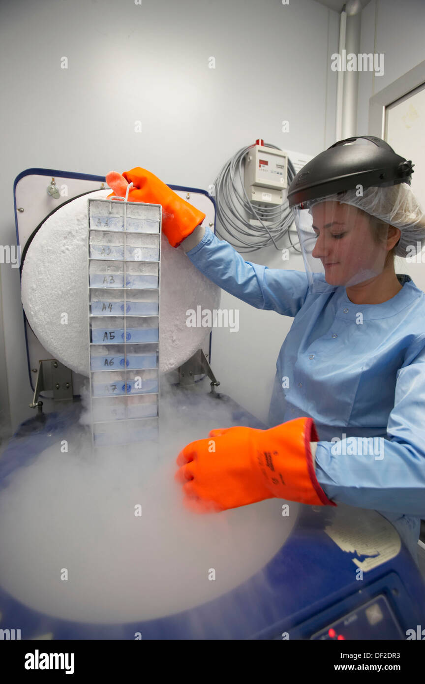 Liquid Nitrogen Tank Cell Storage