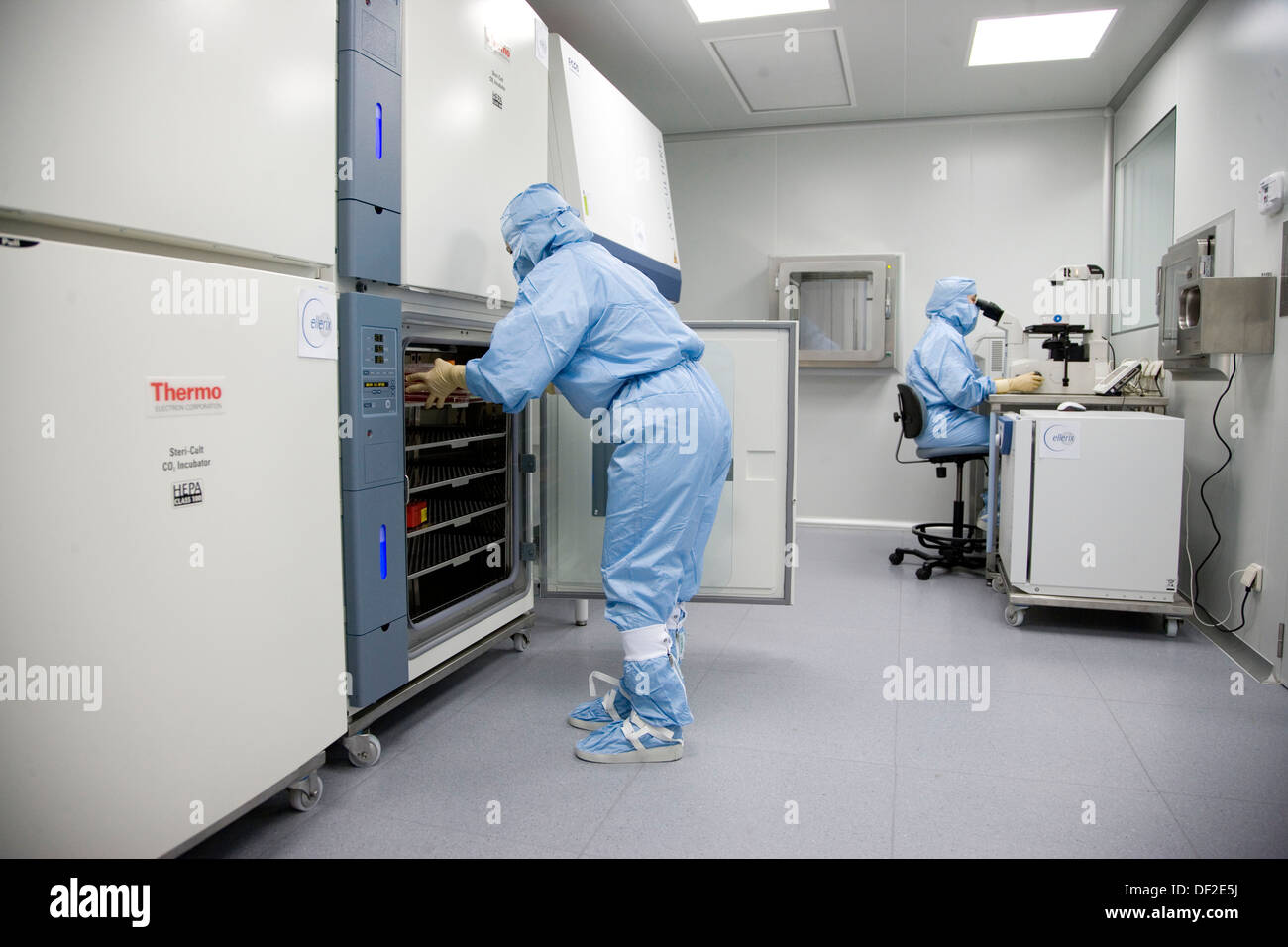 Clean room, culture conservation in incubators, biopharmaceutical lab