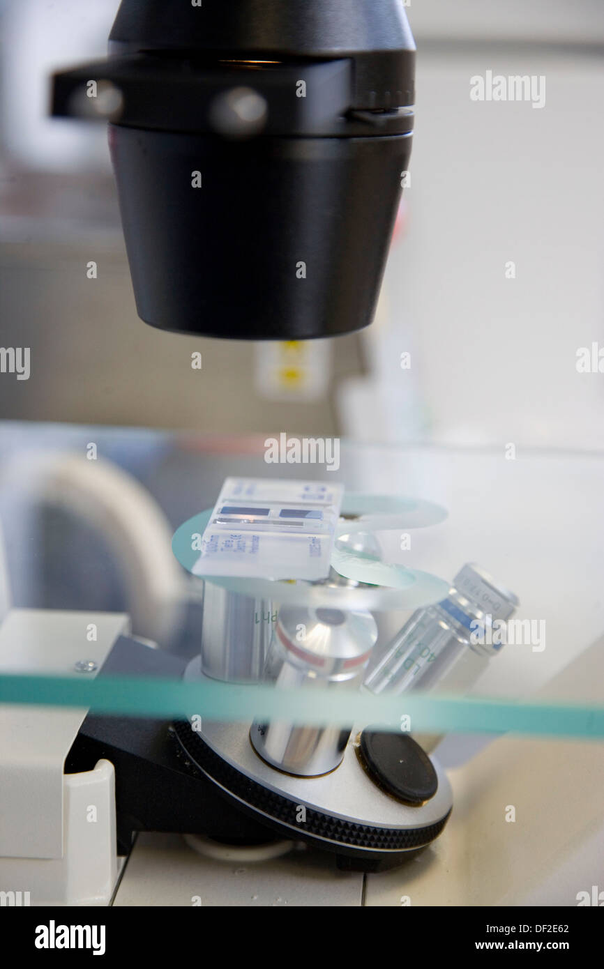 Counting cells, Neubauer chamber, culture room, biopharmaceutical lab