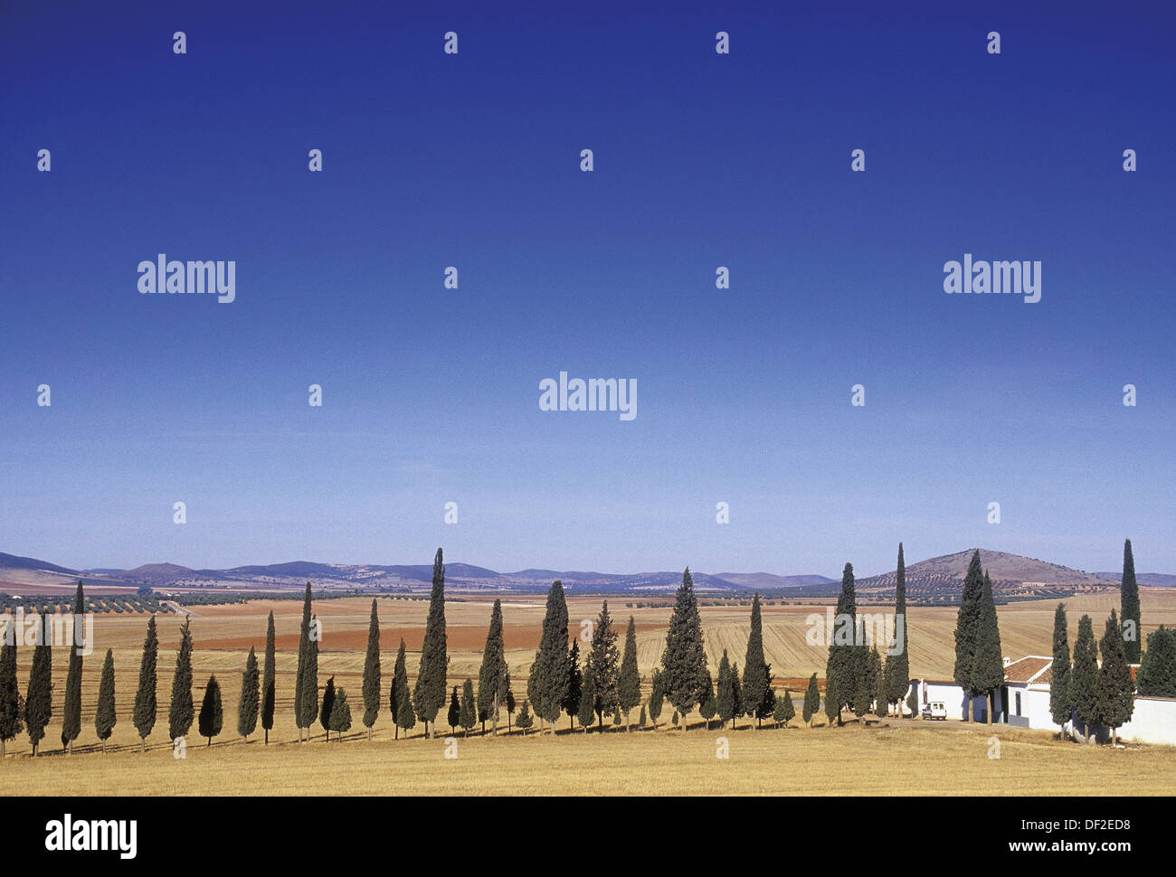 La mancha spain field plain hires stock photography and images Alamy