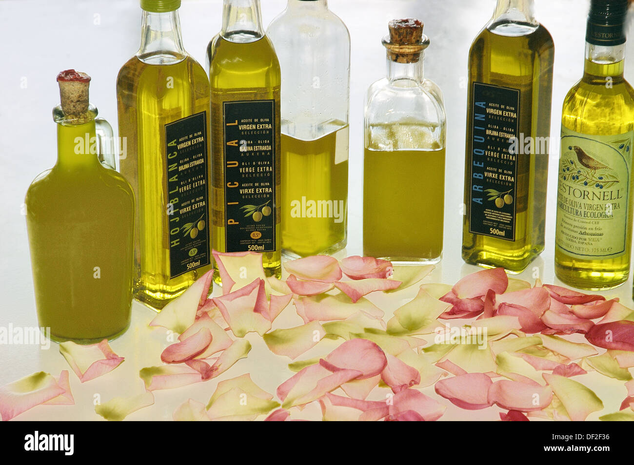 ExtraVirgin olive oil. Spain Stock Photo Alamy