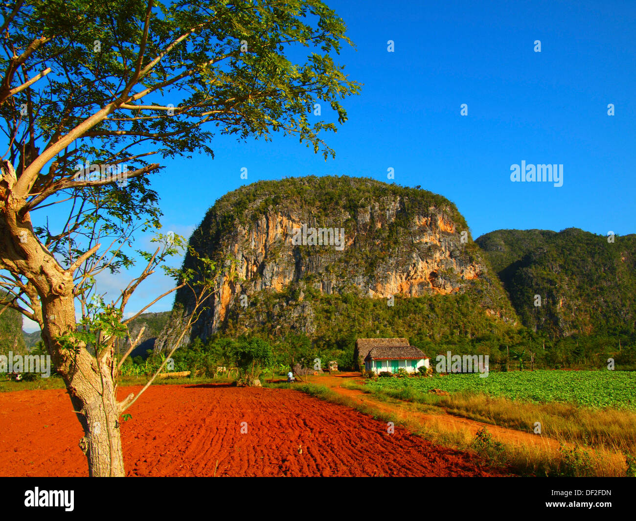 Mogotes de Viñales Pinar del Río Cuba Stock Photo - Alamy