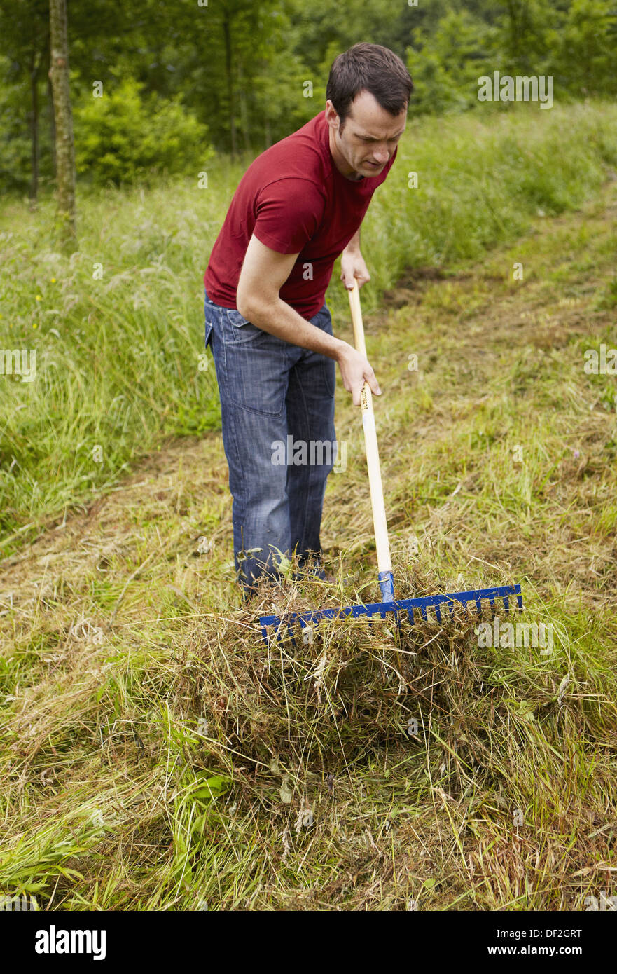 Man using rake, hand tool, farming, Guipuzcoa, Basque Country, Spain