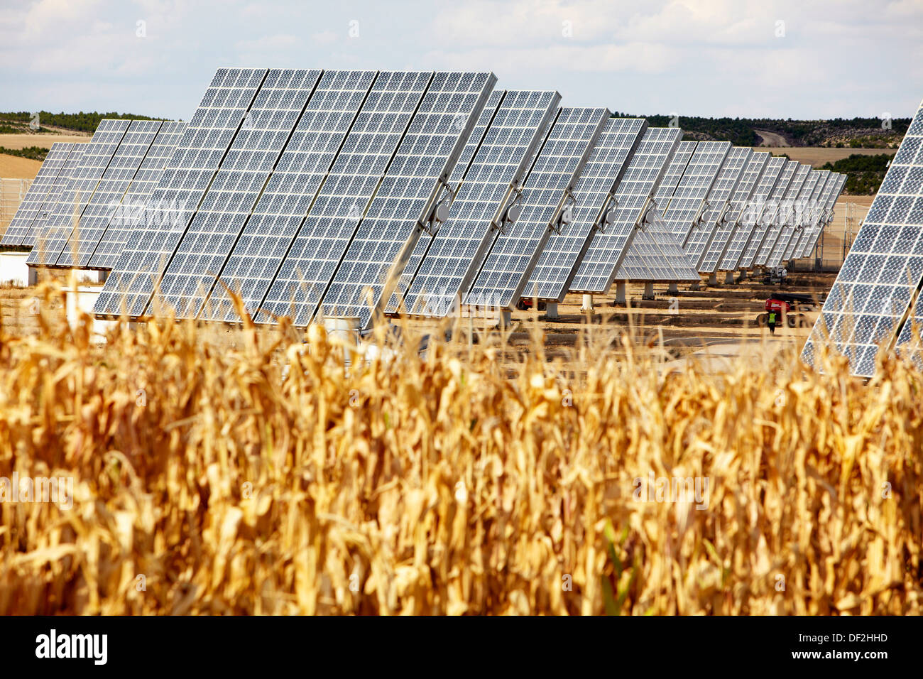 Corn field, solar panels, photovoltaics, solar power plant, Villafranca
