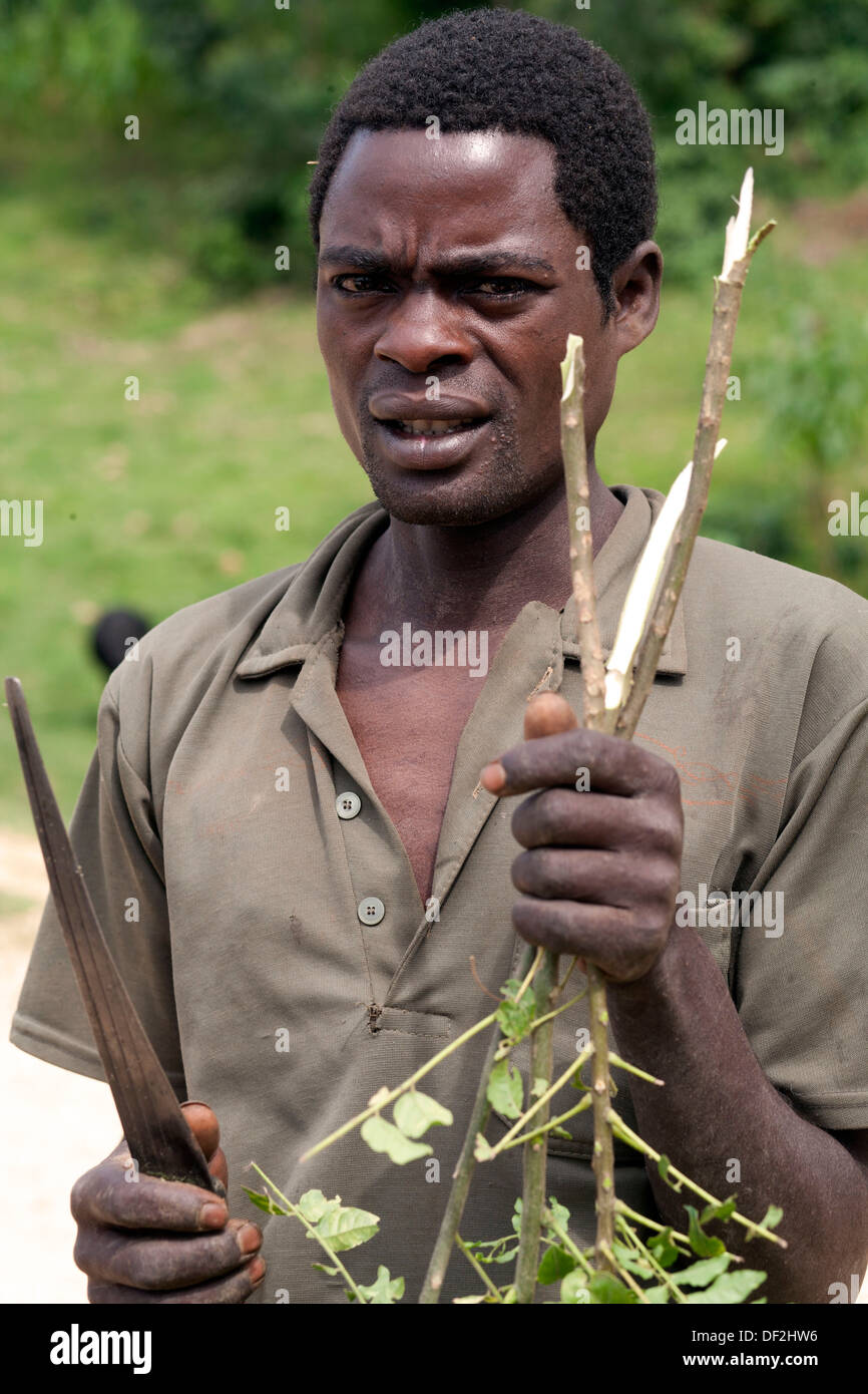 Half body shot of Ethiopian man holding qat chat in his hand, Ethiopia, East Africa. Stock Photo