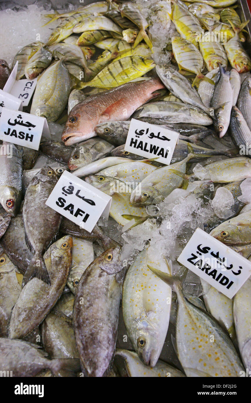 Fishmarket, Abu Dhabi, UAE (United Arab Emirates Stock Photo Alamy