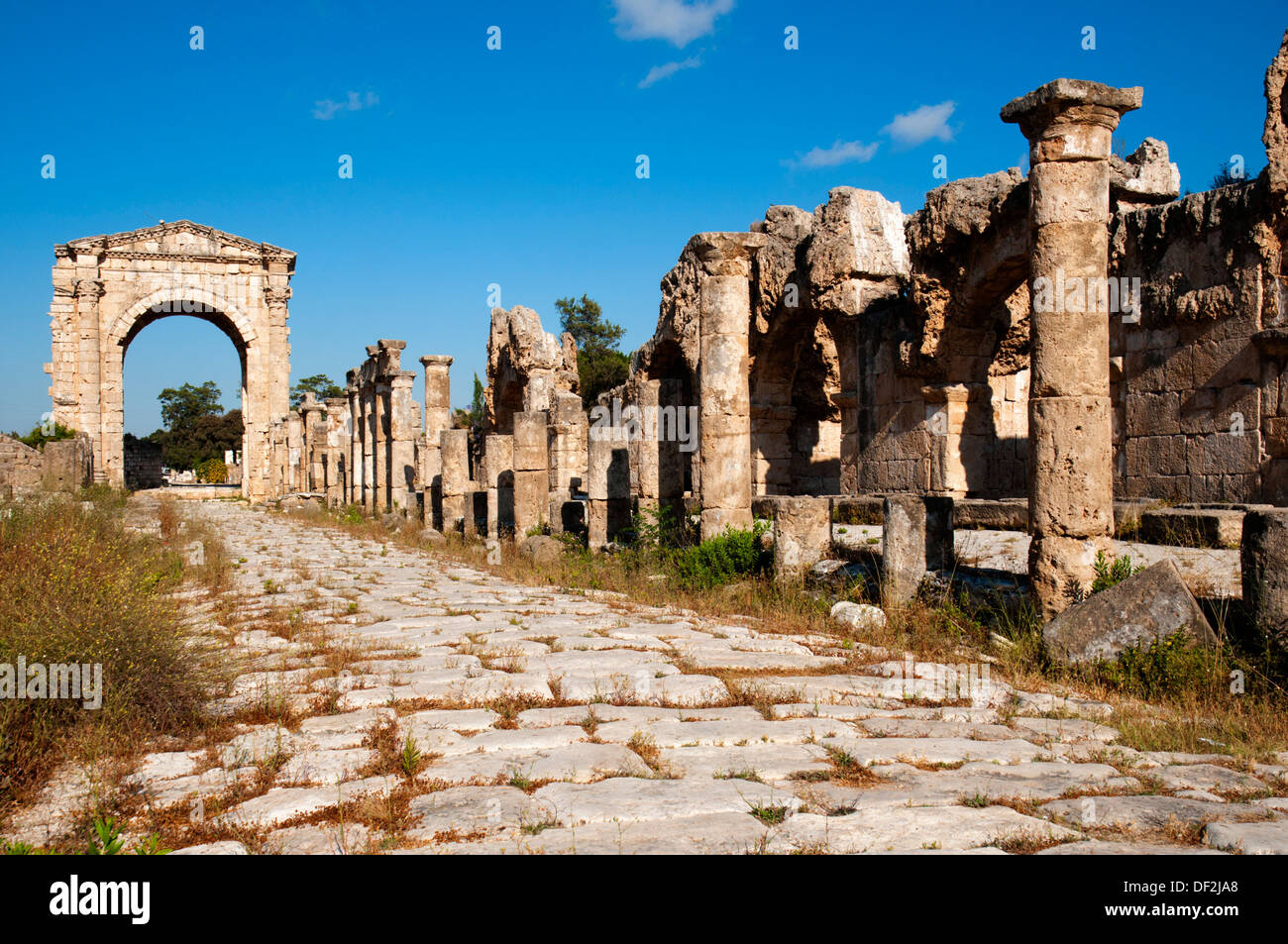 Colonnaded street and the Roman Triumphal Arch, Al Bass site , Tyre Sour, UNESCO World Heritage Site  Lebanon Stock Photo
