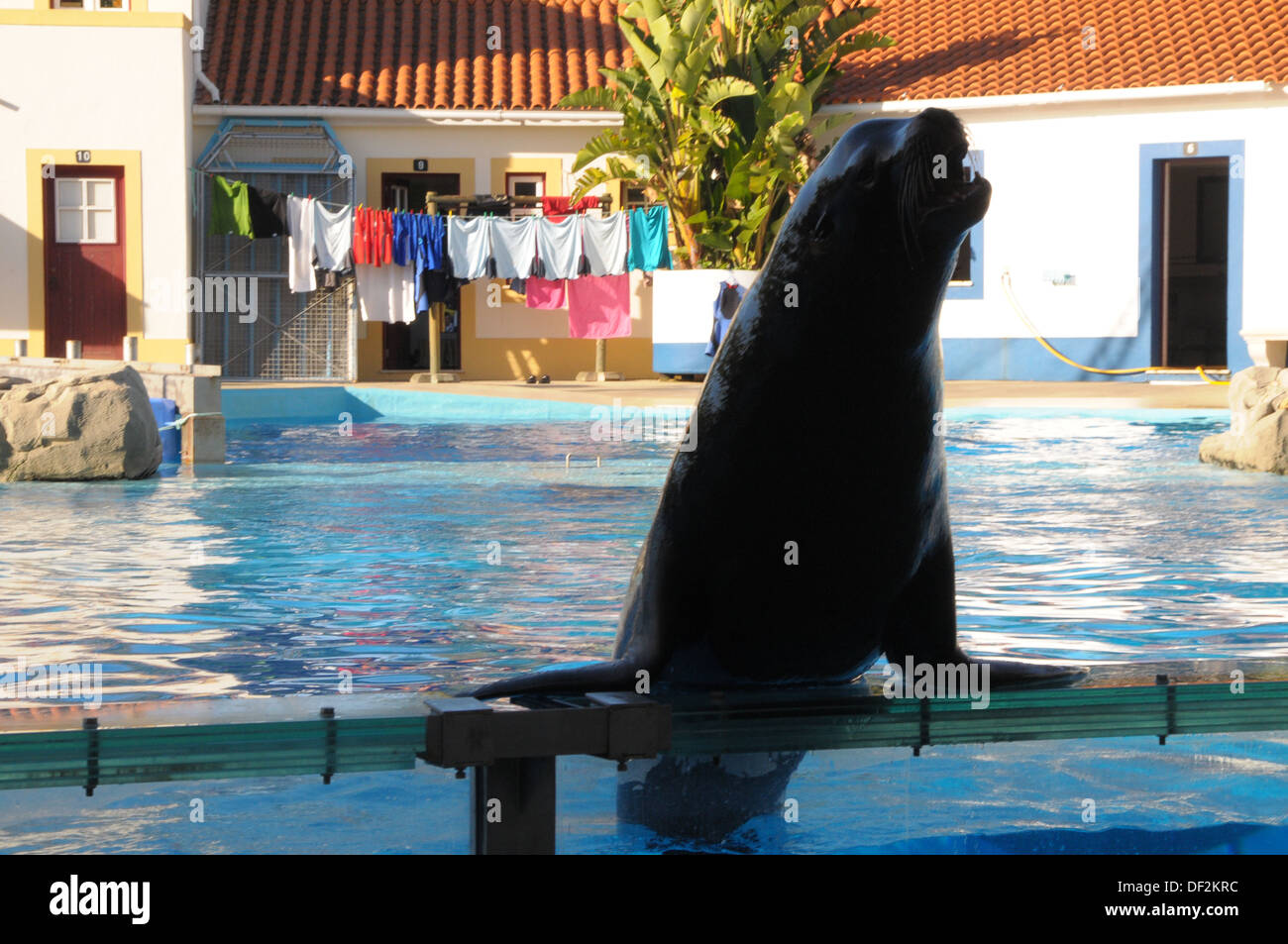 Lisbon Zoo Portugal Stock Photo Alamy