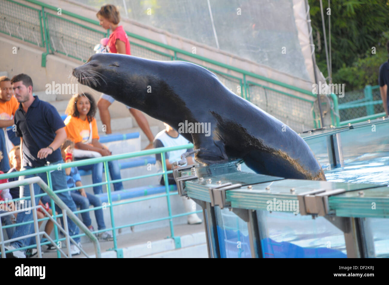 Lisbon Zoo Portugal Stock Photo Alamy